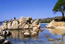 AC米兰今晚回应争议；志在NBA常规赛名次提升；质疑声仍在；临场指挥获称赞的简单介绍